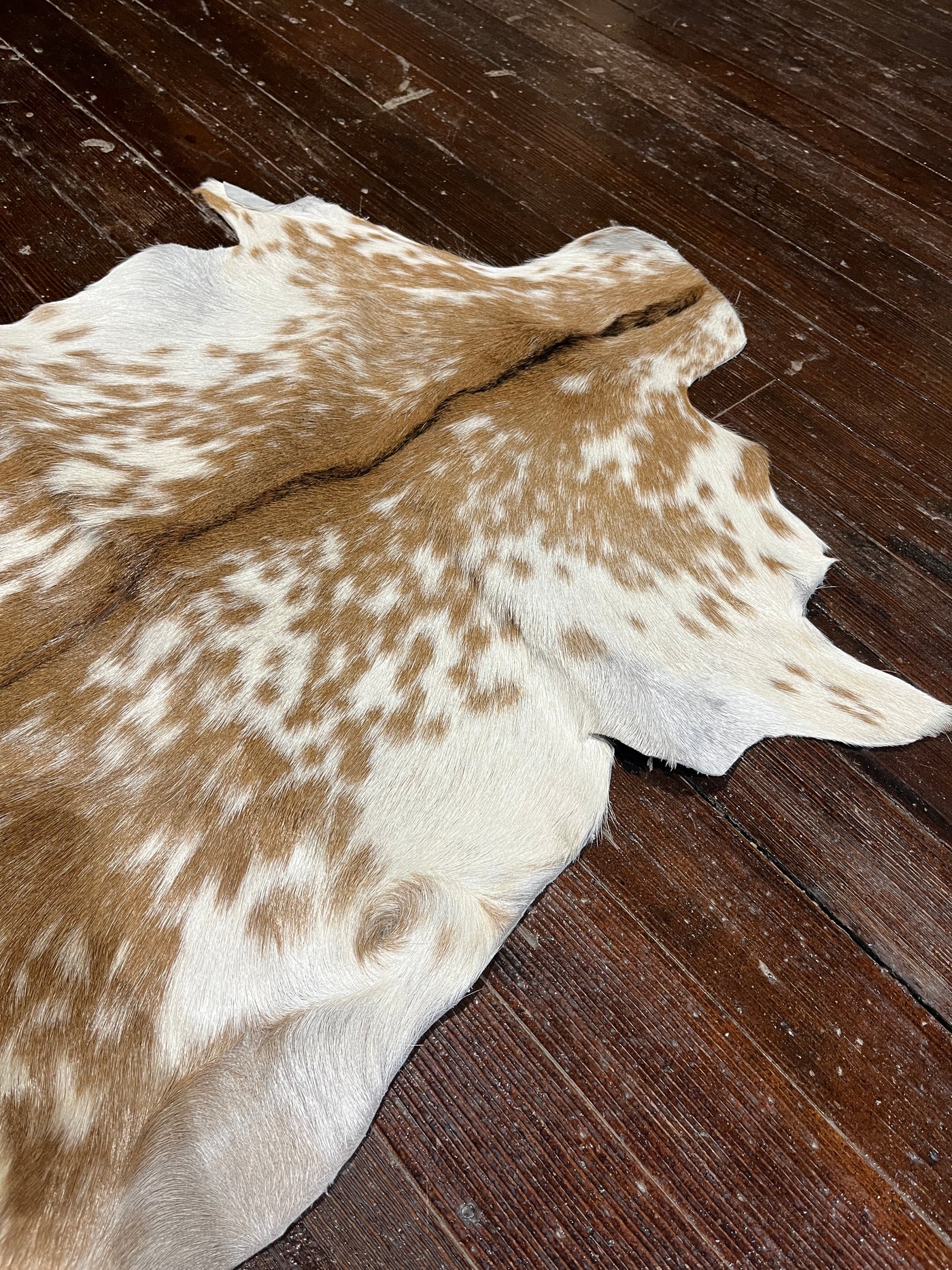 Lauer Brown & White Genuine Goat Hide ✜ON SALE NOW: 25% OFF✜
