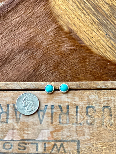 Luther Faux Turquoise Stud Earrings