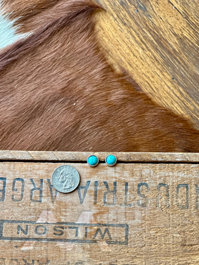 Luther Faux Turquoise Stud Earrings