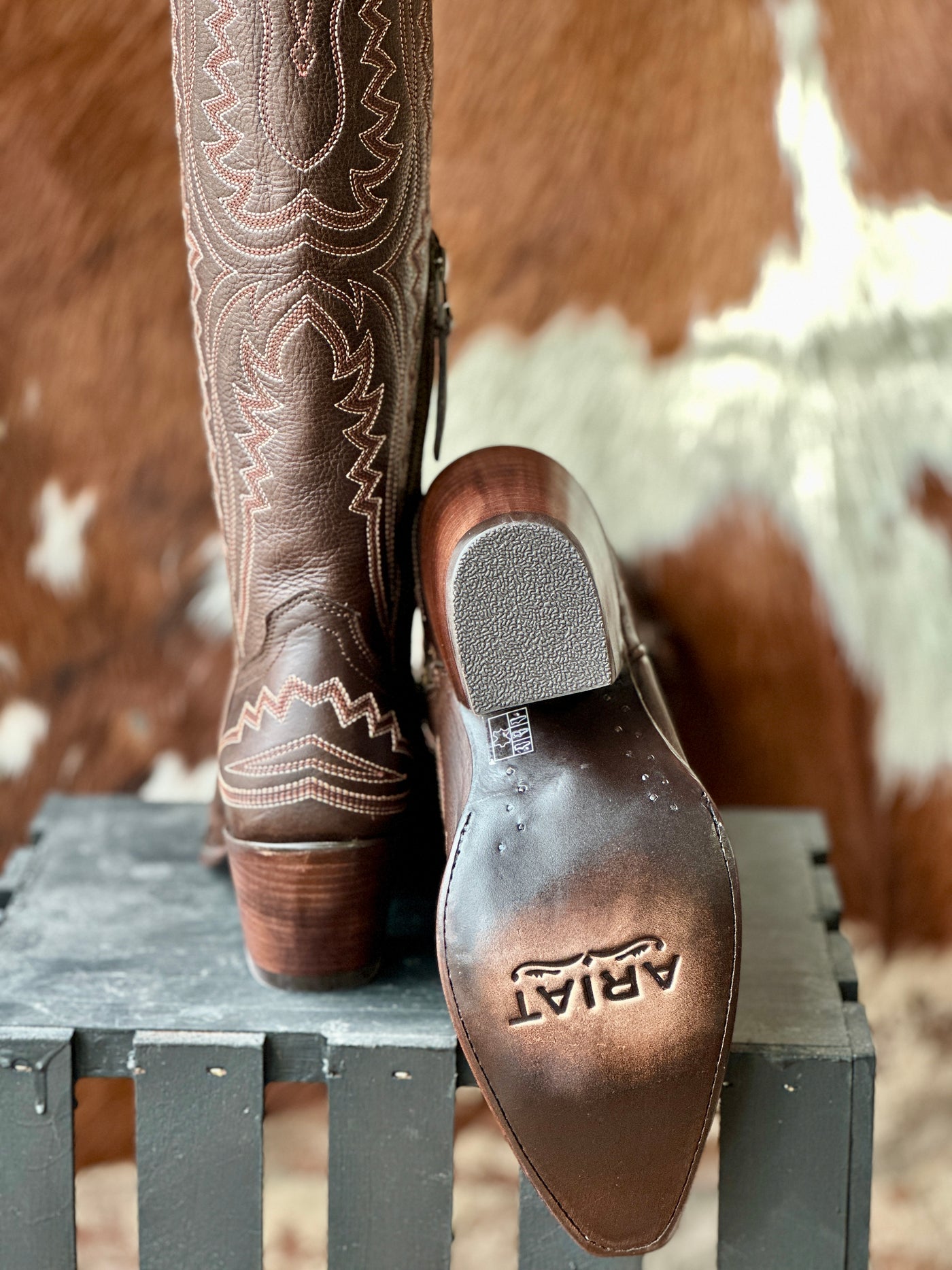 Ariat Casanova Snip Toe Boot [Rich Chocolate]