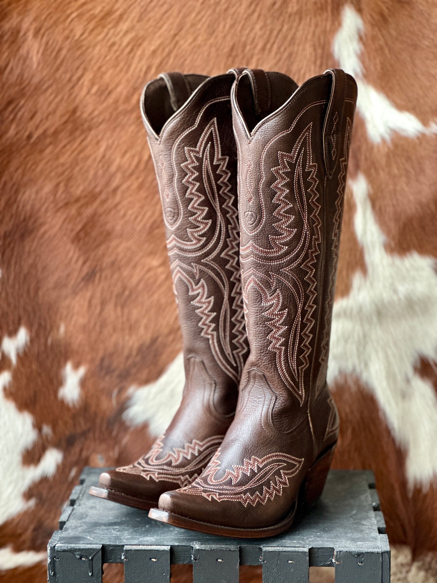 Ariat Casanova Snip Toe Boot [Rich Chocolate]