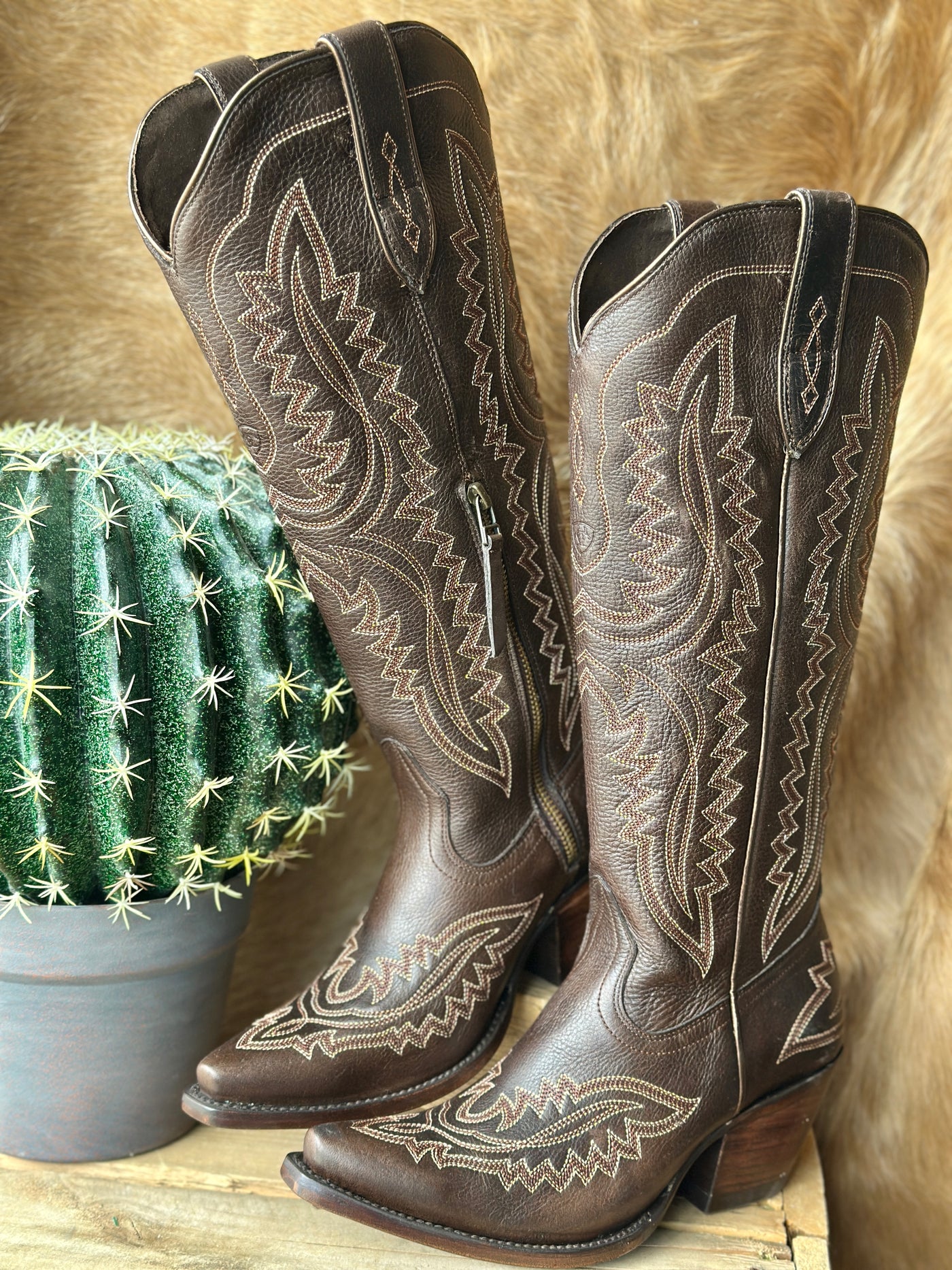 Broker Leather's New Ariat Casanova Snip Toe Boots – Timeless Western Elegance