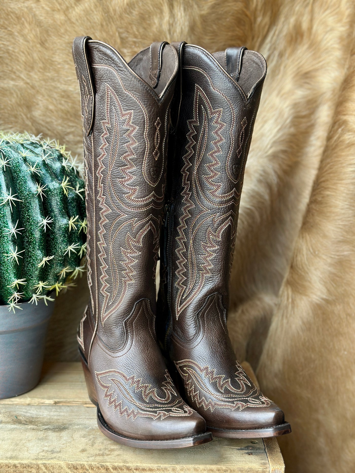 Side View of Ariat Casanova Snip Toe Boot – Tall Silhouette, Inside Zipper, and Snip Toe Design