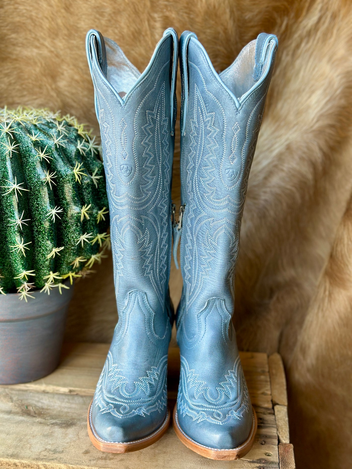 Ariat Casanova Snip Toe shown with a rustic background to show their classic  Chic Western Look