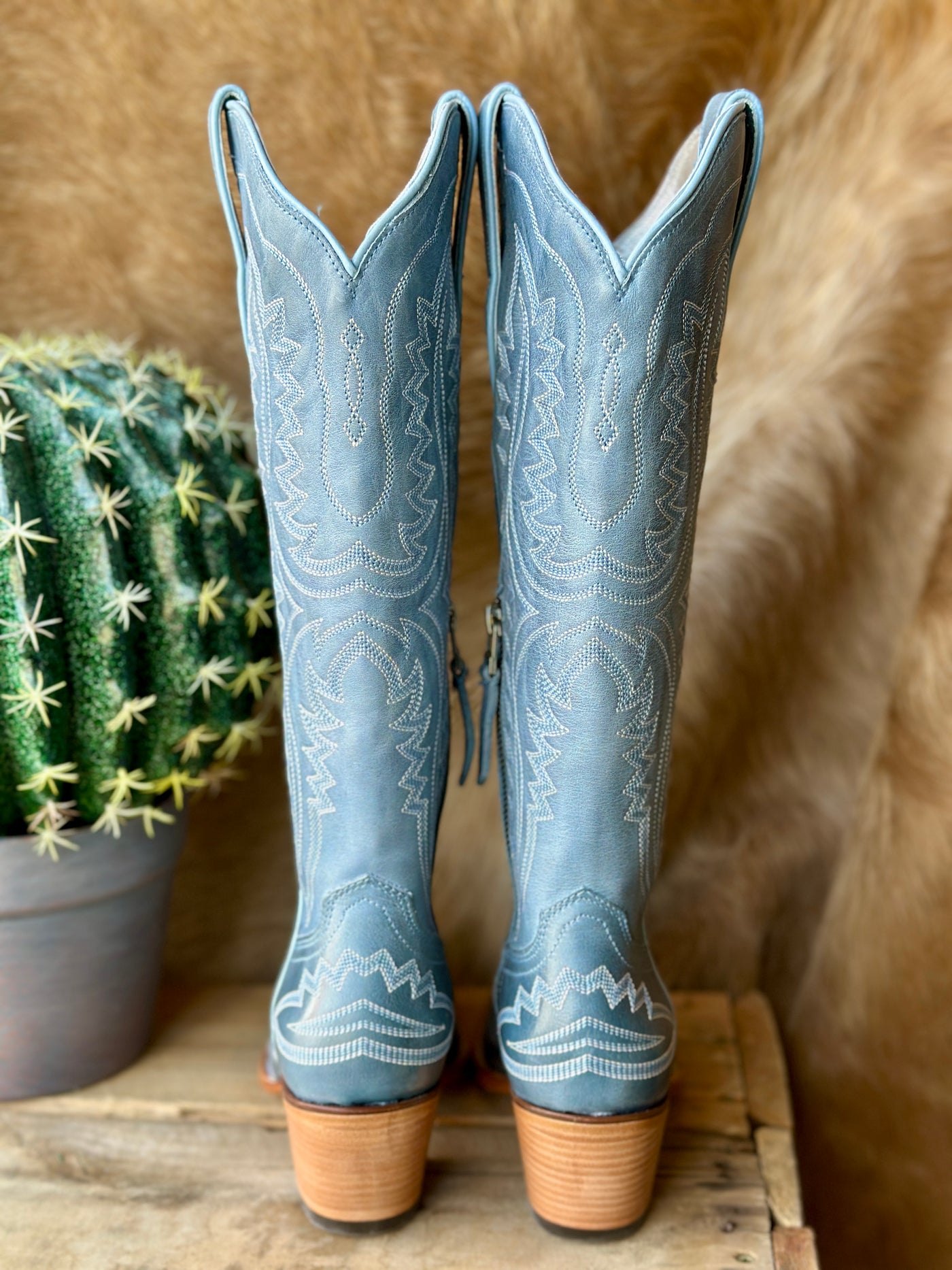Back View of Ariat Casanova Snip Toe Boot – Soft Vintage Denim Leather with Elegant Stitching