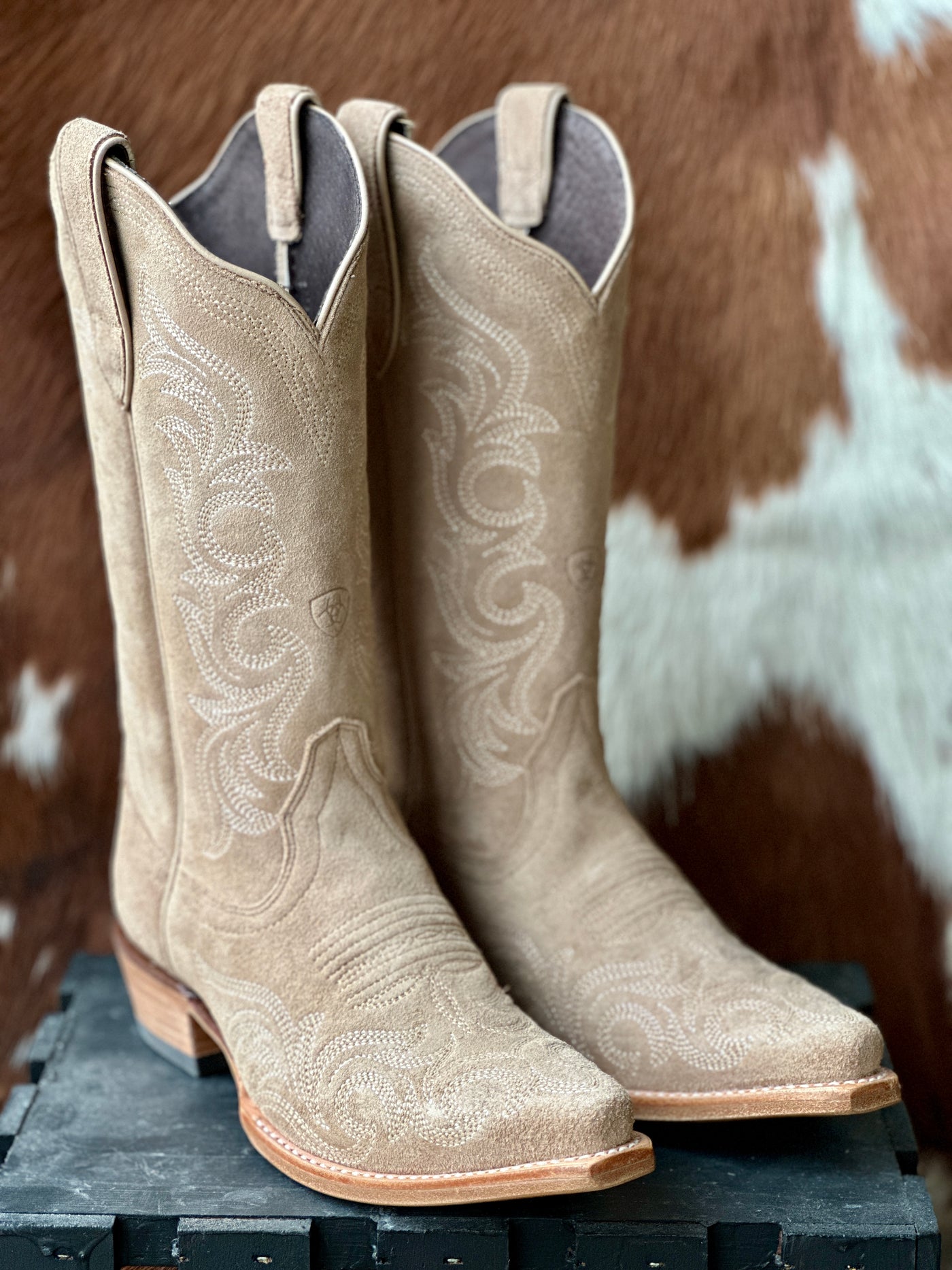 Ariat Hazen Snip Toe Boot [Truly Taupe]