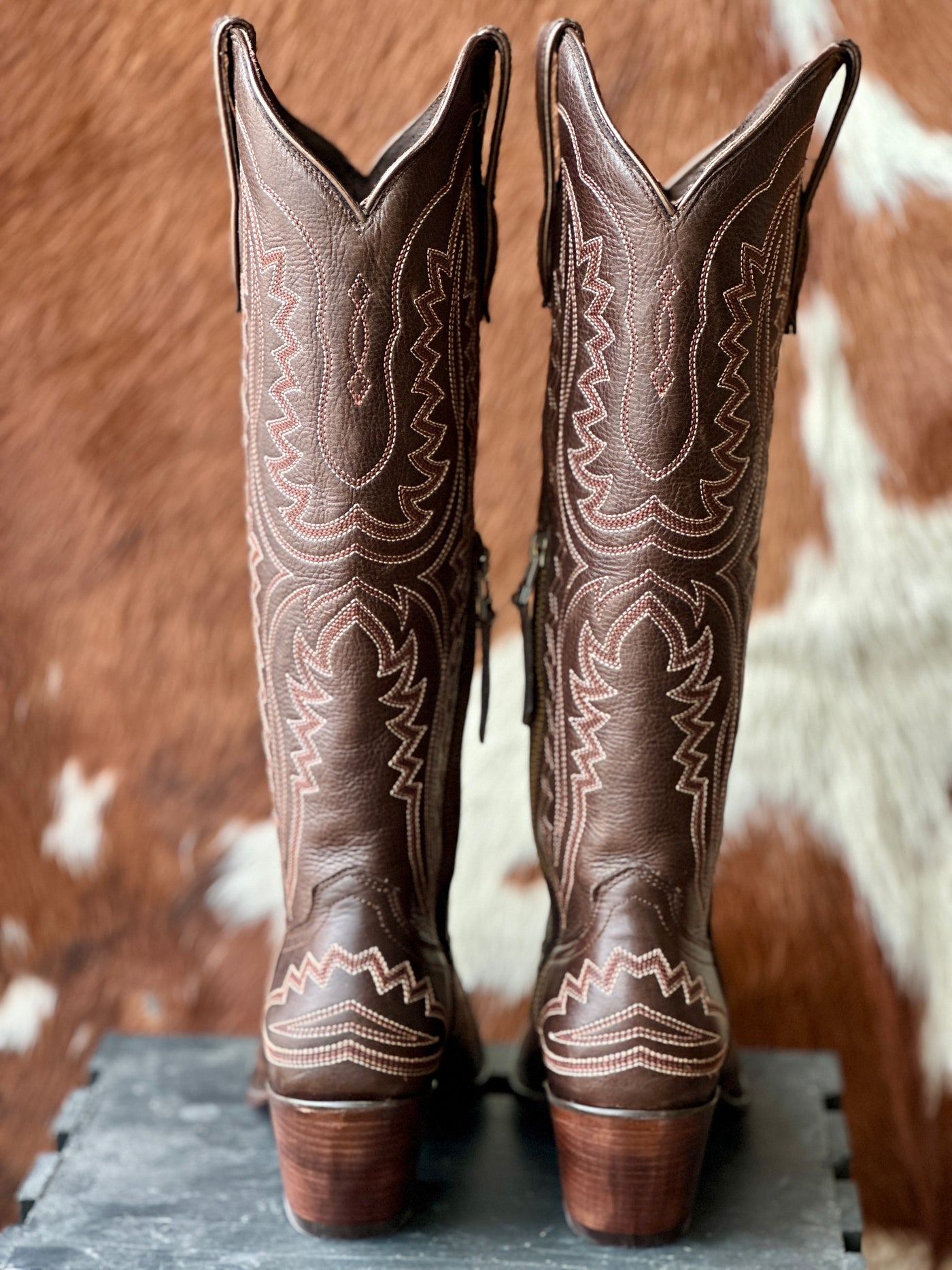 Ariat Casanova Snip Toe Boot [Rich Chocolate]