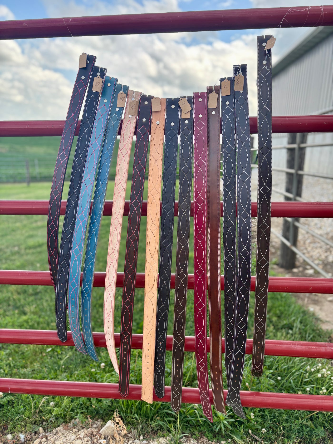 Set of leather belts in various colors hanging on a metal fence with a grassy field and building in the background.