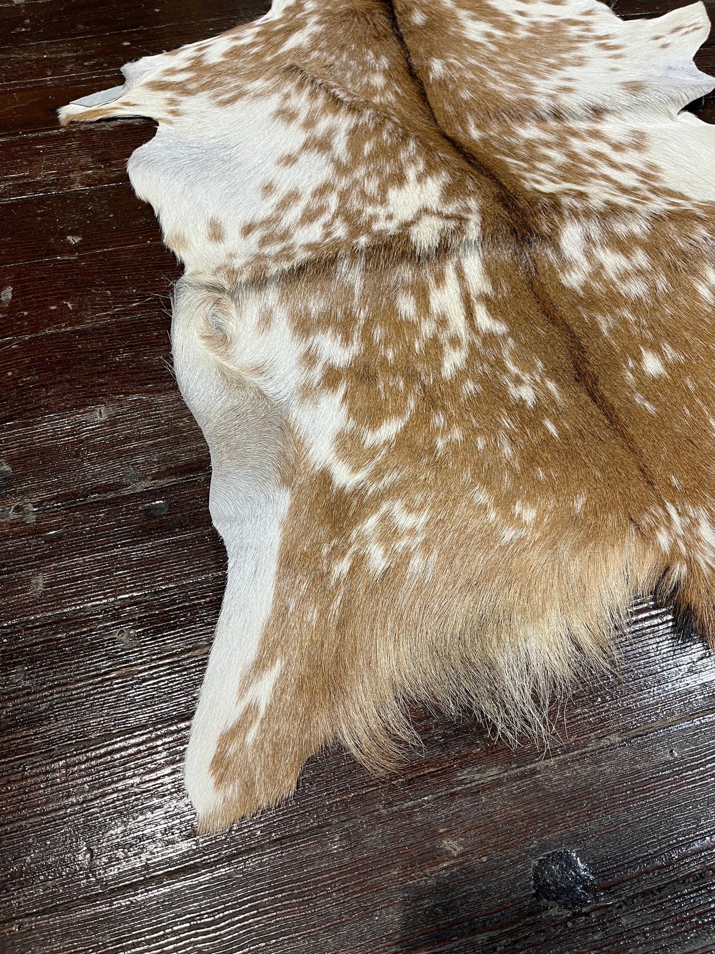 Lauer Brown & White Genuine Goat Hide