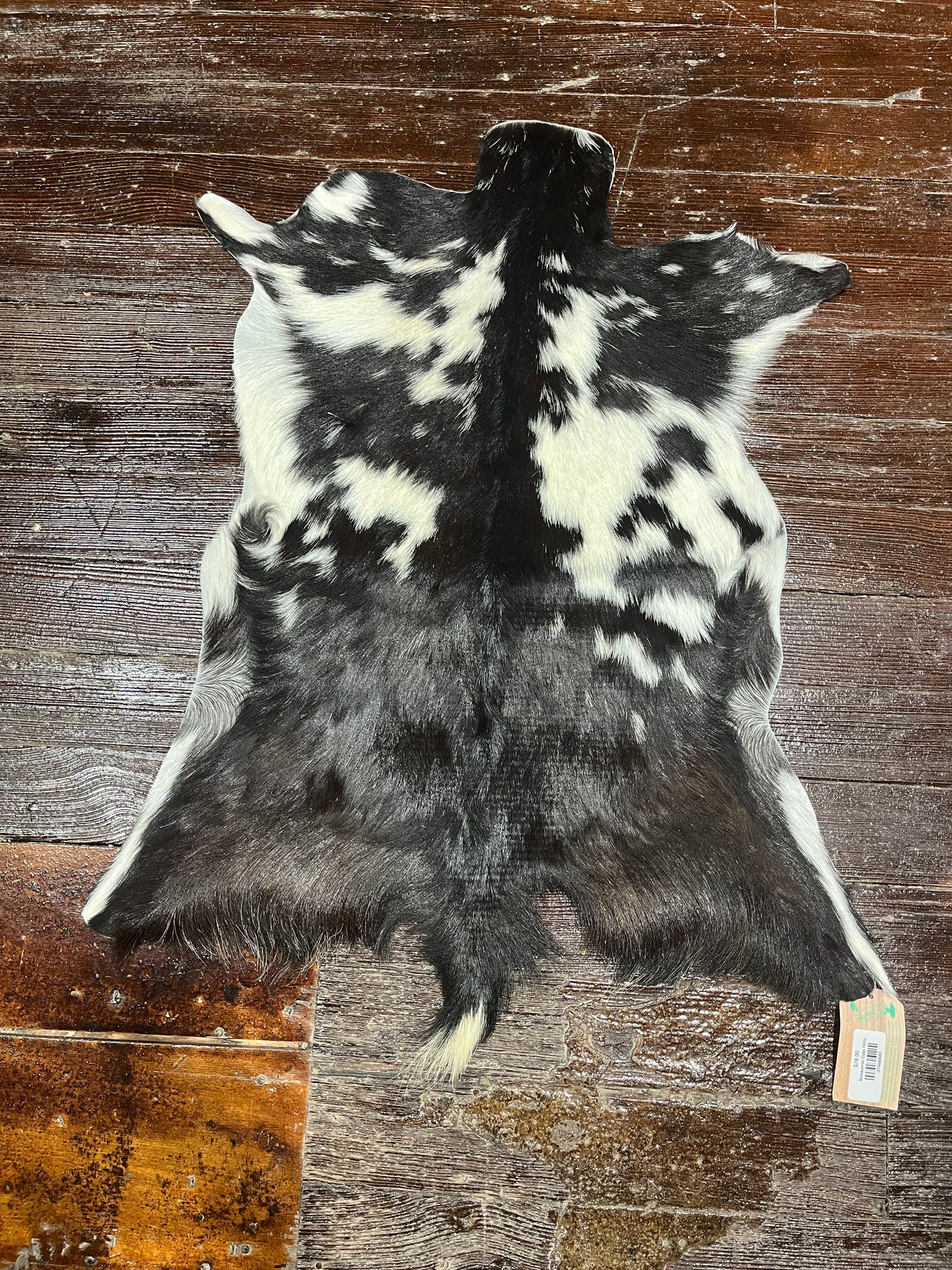 Full rug image of Keeaunna Black & White Genuine Goat Hide with rustic charm and modern functionality.