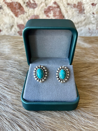 Earrings shown in a jewelry box, emphasizing their beautifully packaged presentation.