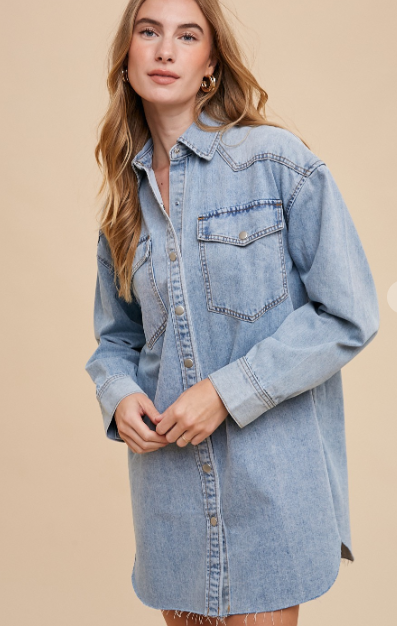 None For Me Denim Button Down Shirt Dress