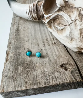 Ikea Tiny Turquoise Stud Earrings