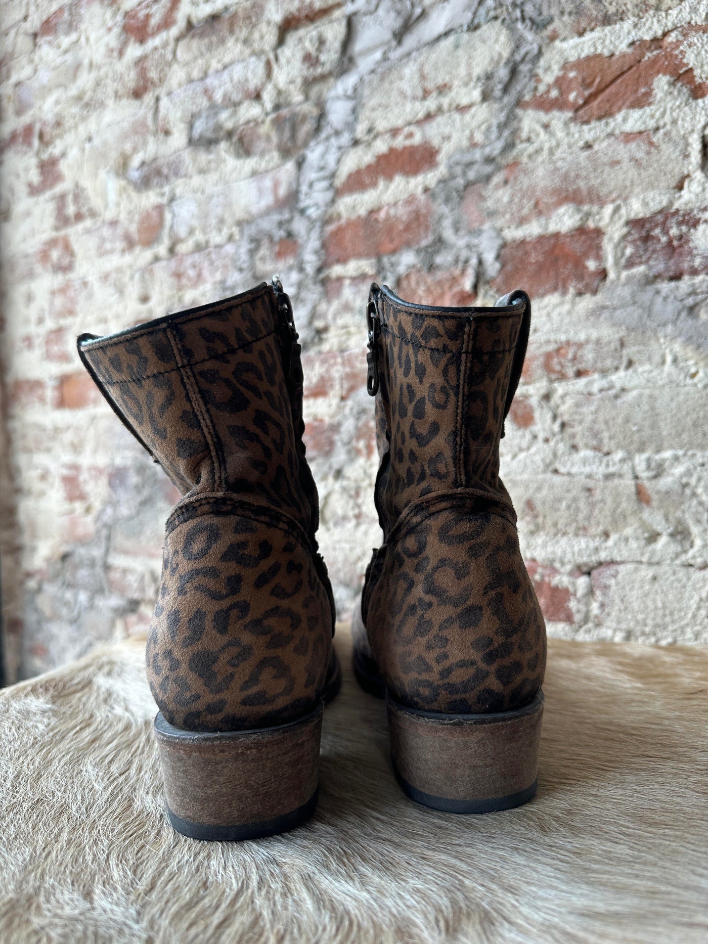 Size 8.5 Corral Leopard Booties ✜FINAL SALE✜ CS033