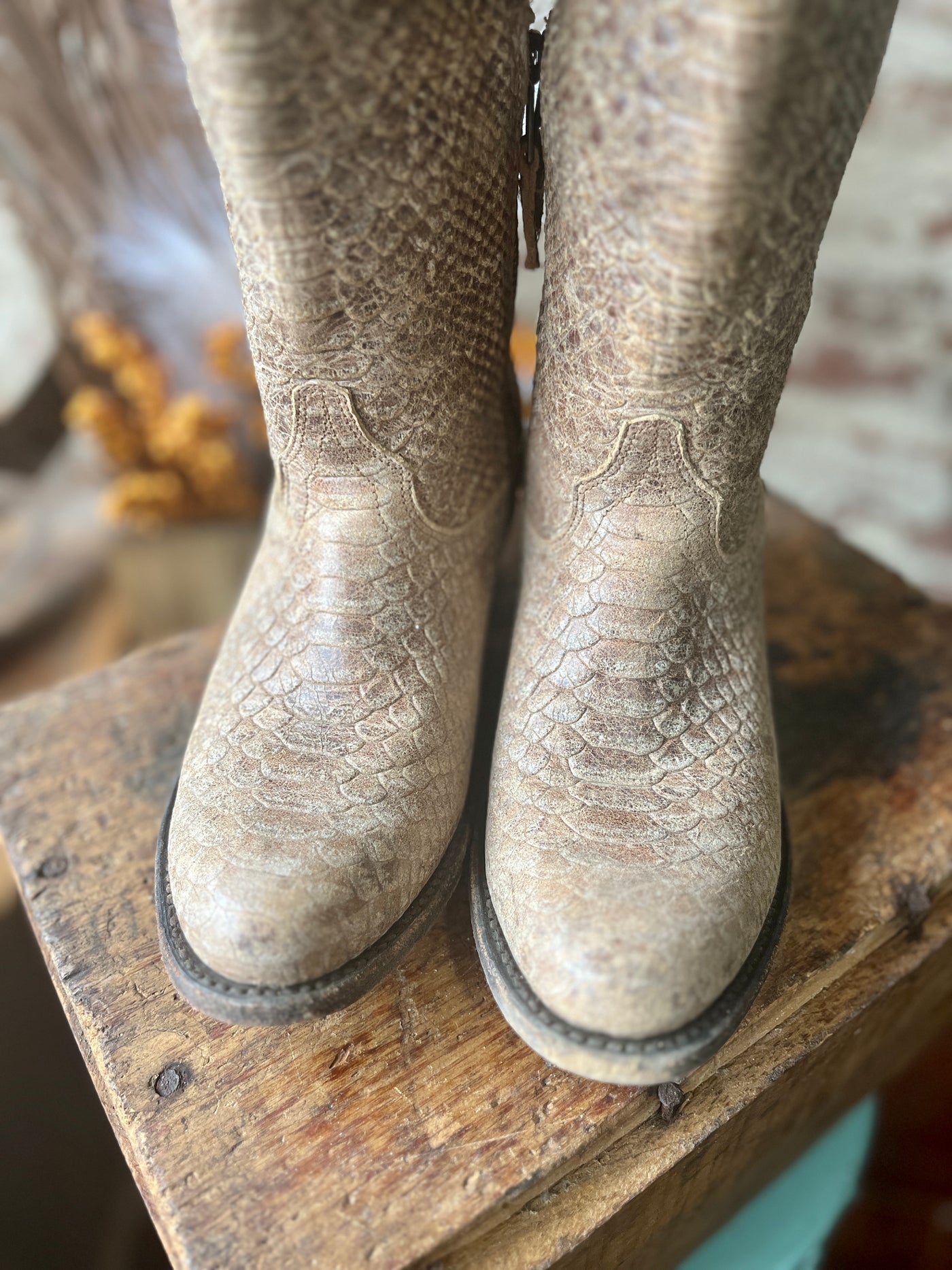 Close-up of the Size 8.5 Miss Macie Eden Boot's round toe in snake print, showing their stylish design.