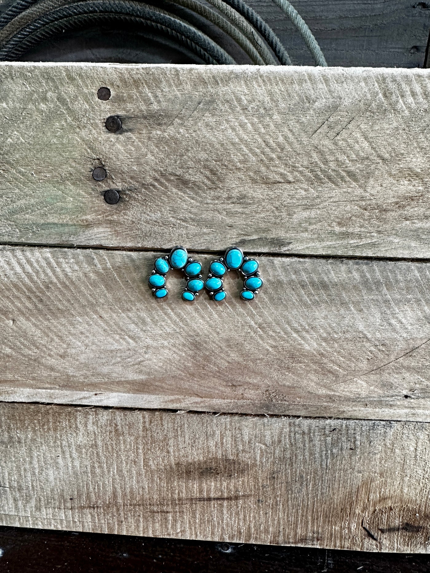 Apache River Turquoise Earrings