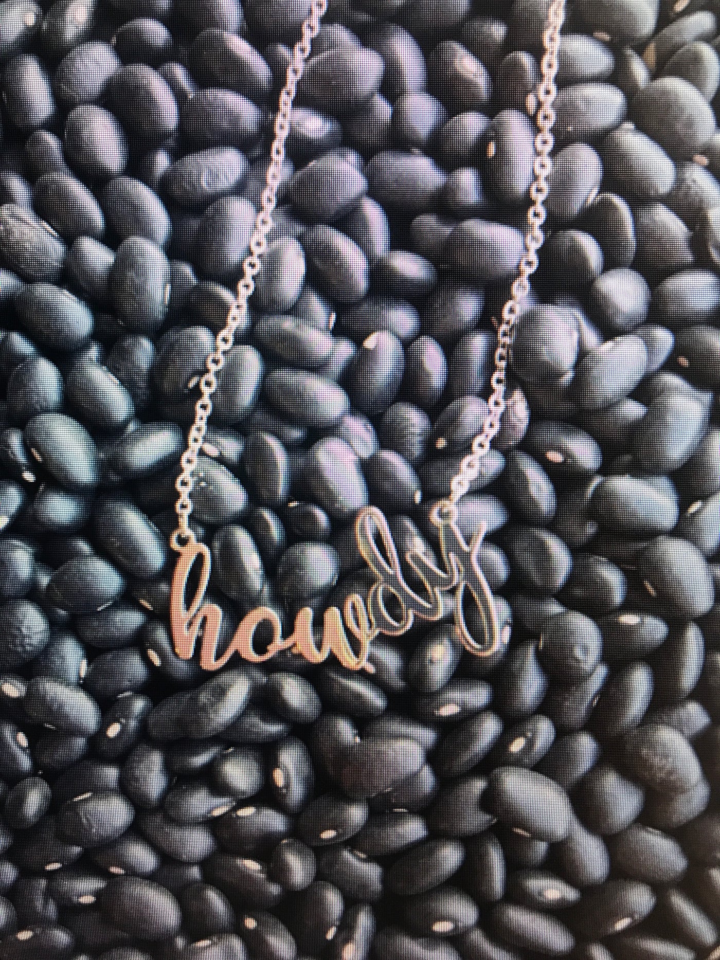 Mason Howdy Script Necklace Silver ✜ON SALE NOW✜